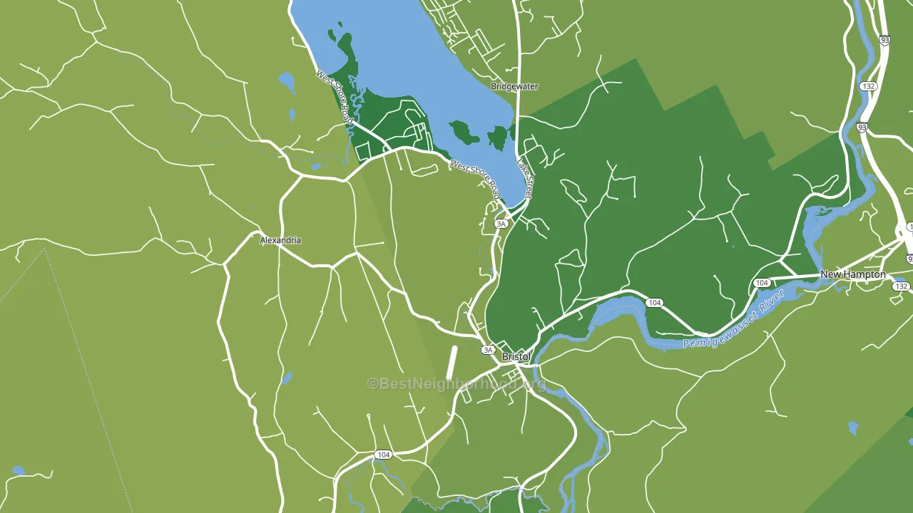 Bristol, NH block-group voter-turnout map