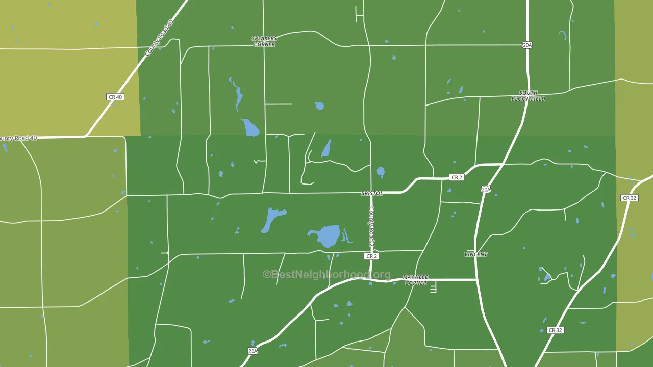 Bristol, NY block-group voter-turnout map