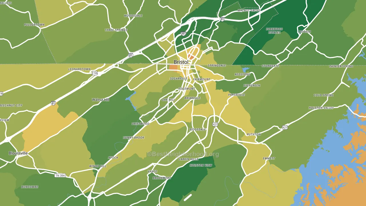 Bristol, TN block-group voter-turnout map