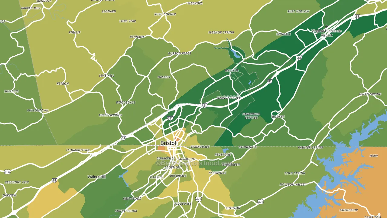 Bristol, VA block-group voter-turnout map