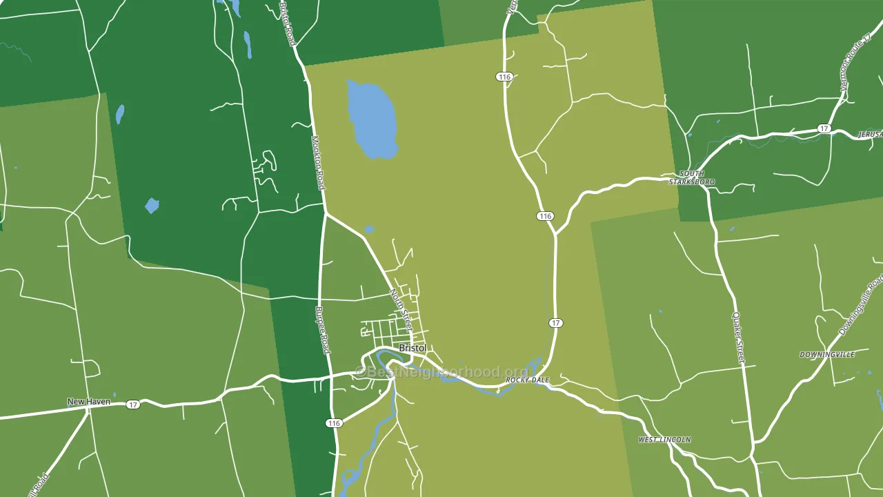 Bristol, VT block-group voter-turnout map