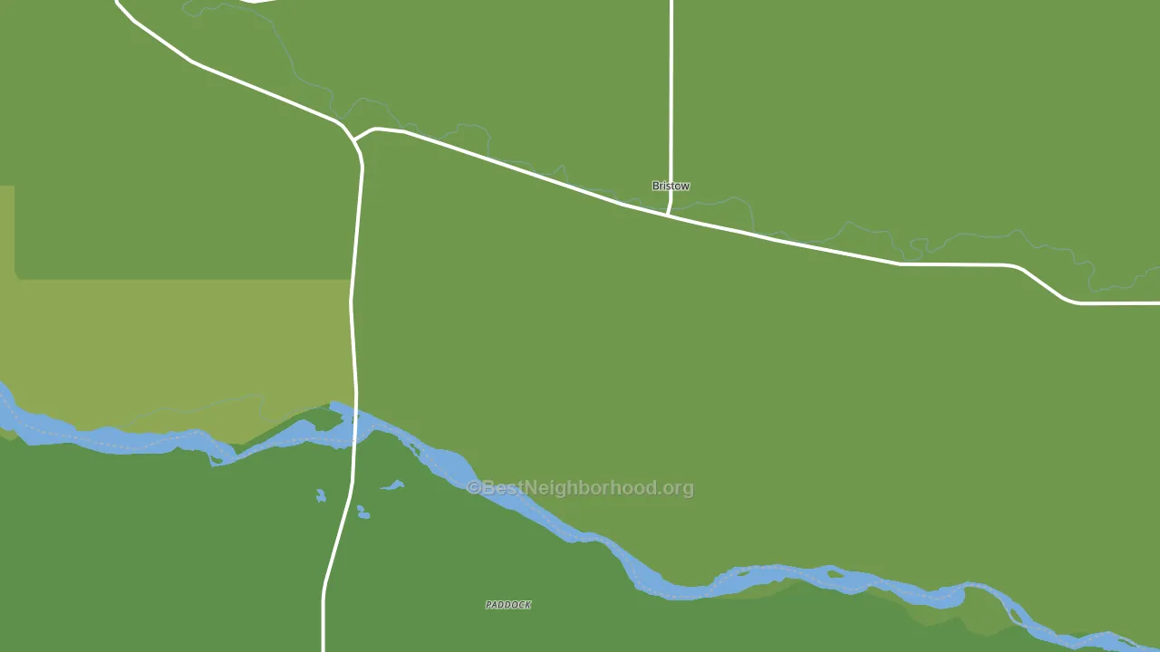 Bristow, NE block-group voter-turnout map