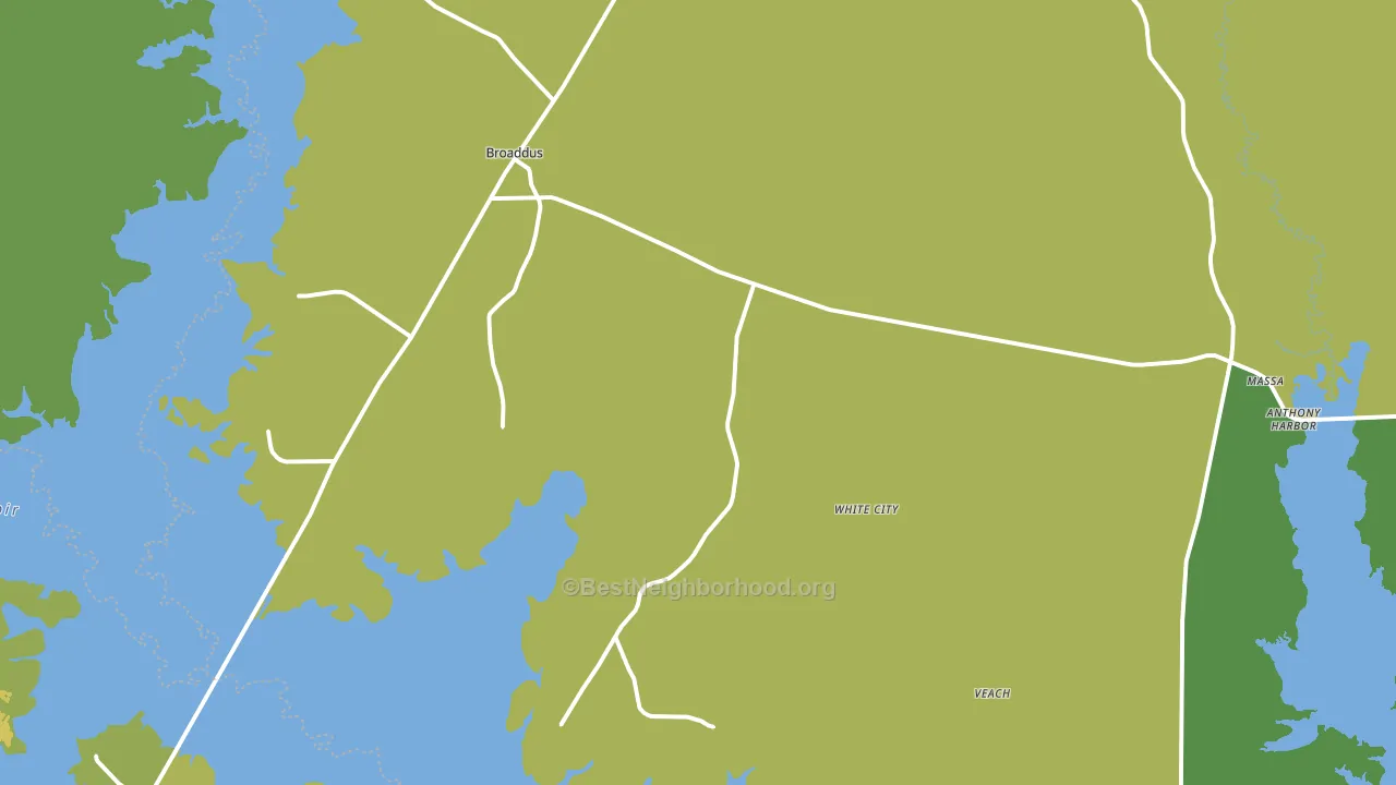 Broaddus, TX block-group voter-turnout map