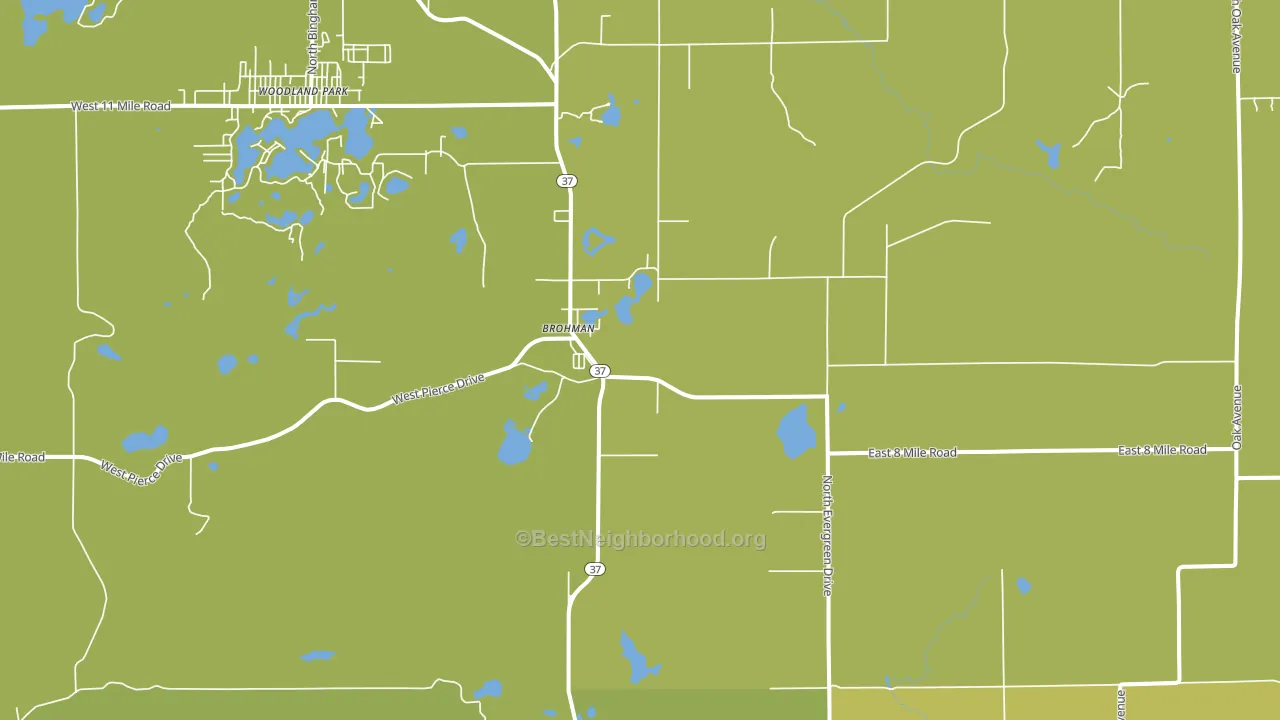 Brohman, MI block-group voter-turnout map
