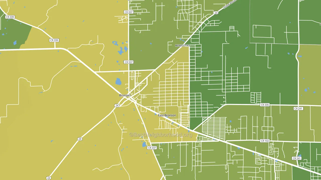 Bronson, FL block-group voter-turnout map