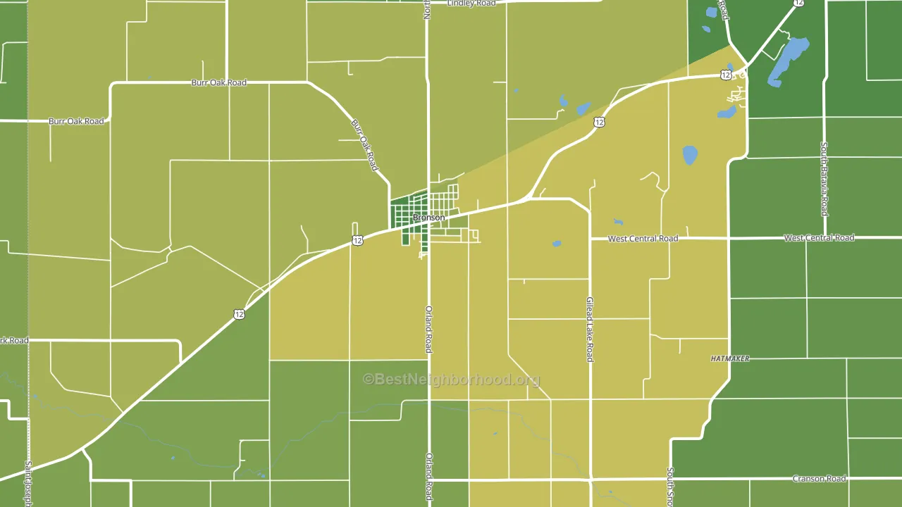 Bronson, MI block-group voter-turnout map
