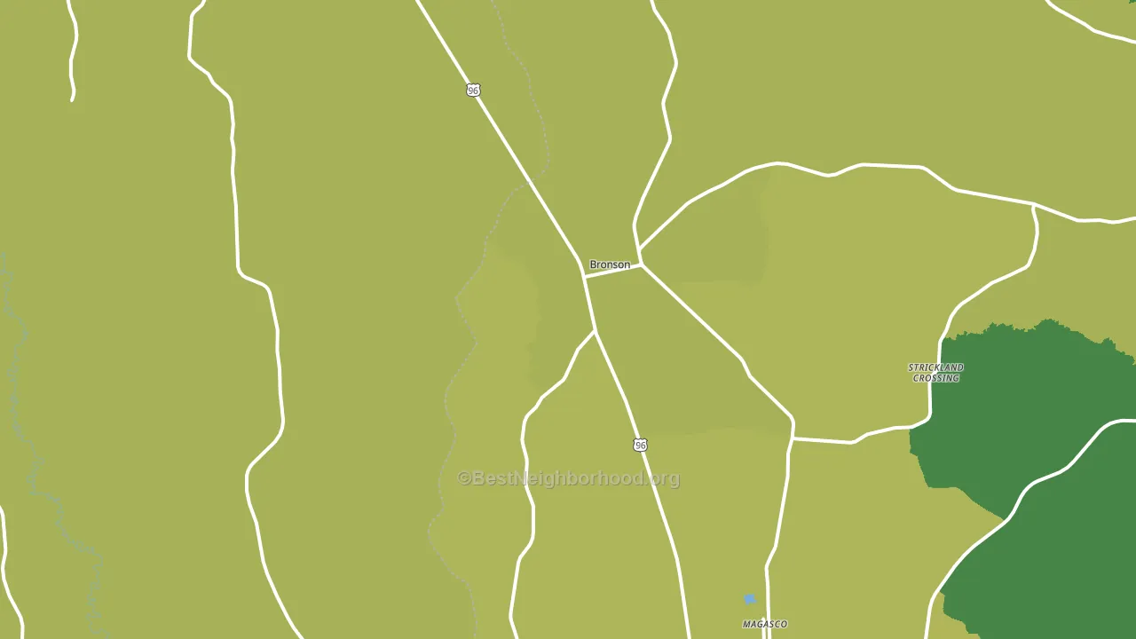 Bronson, TX block-group voter-turnout map