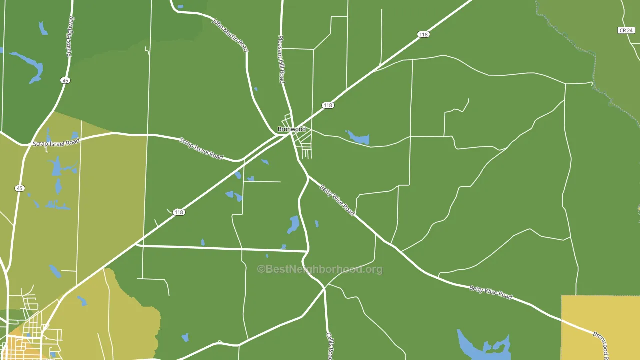 Bronwood, GA block-group voter-turnout map