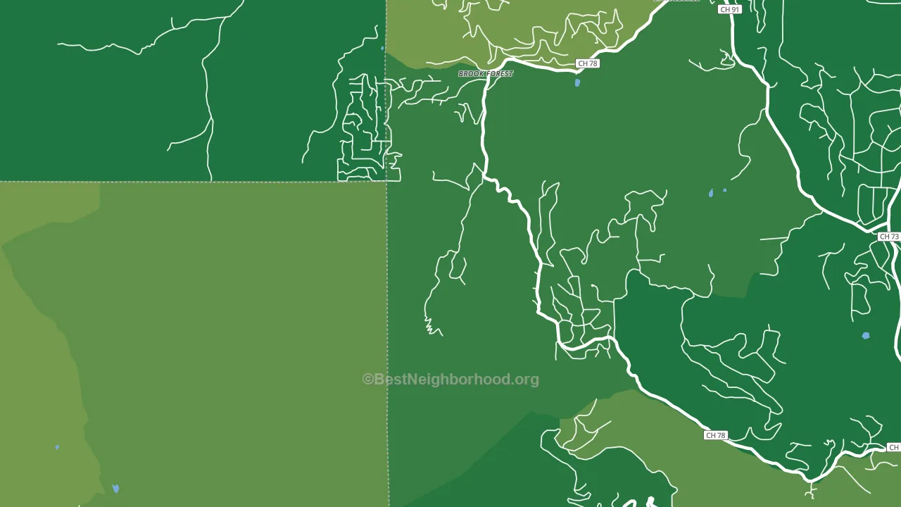 Brook Forest, CO block-group voter-turnout map