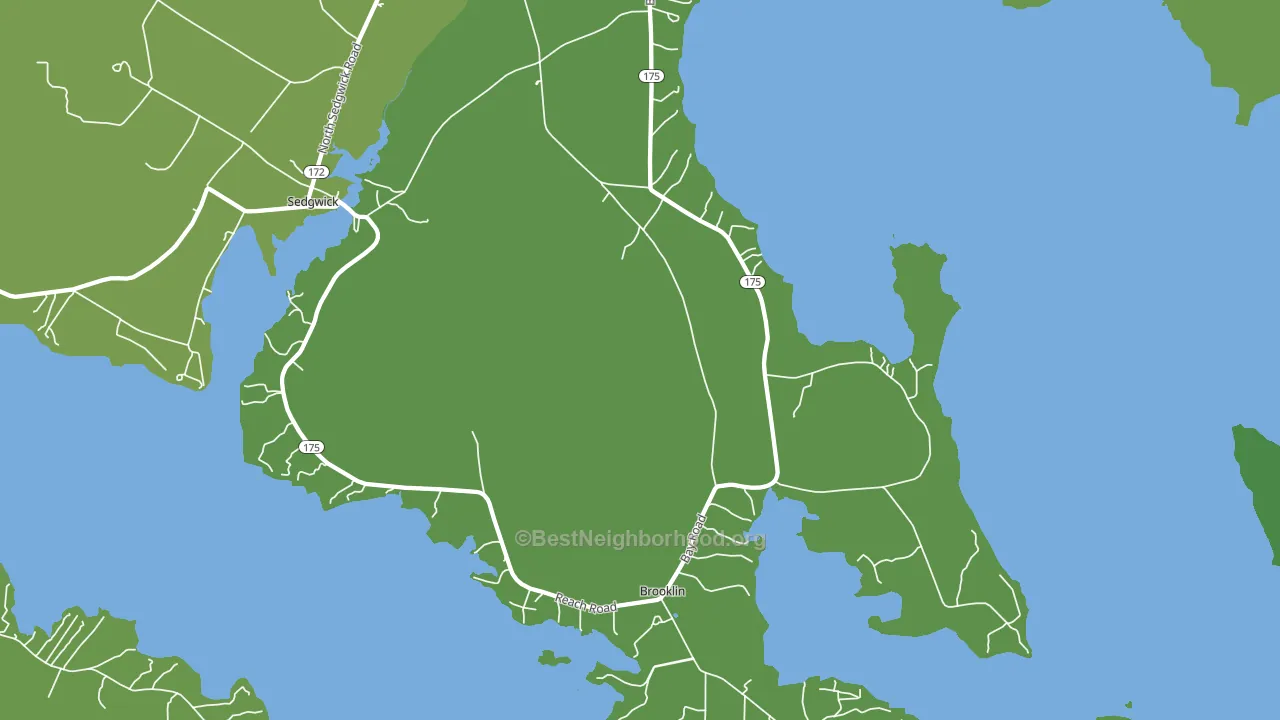 Brooklin, ME block-group voter-turnout map