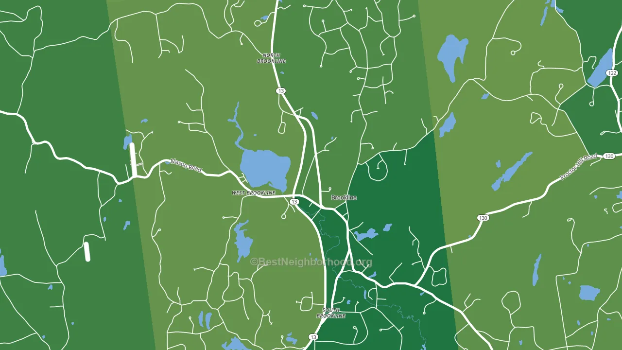 Brookline, NH block-group voter-turnout map