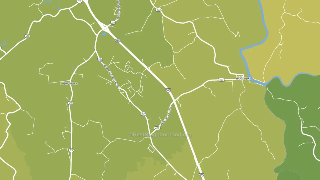 Brooklyn, KY block-group voter-turnout map