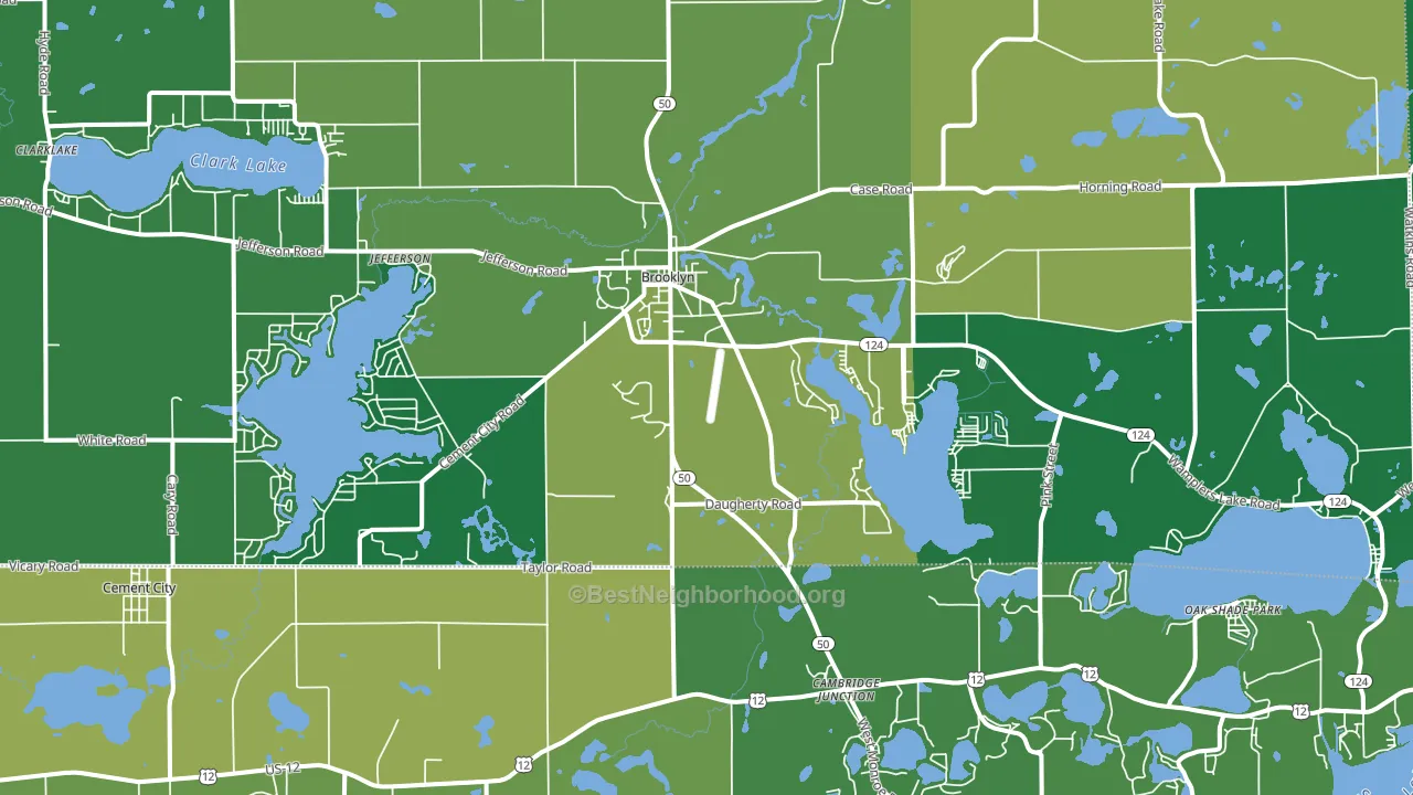 Brooklyn, MI block-group voter-turnout map
