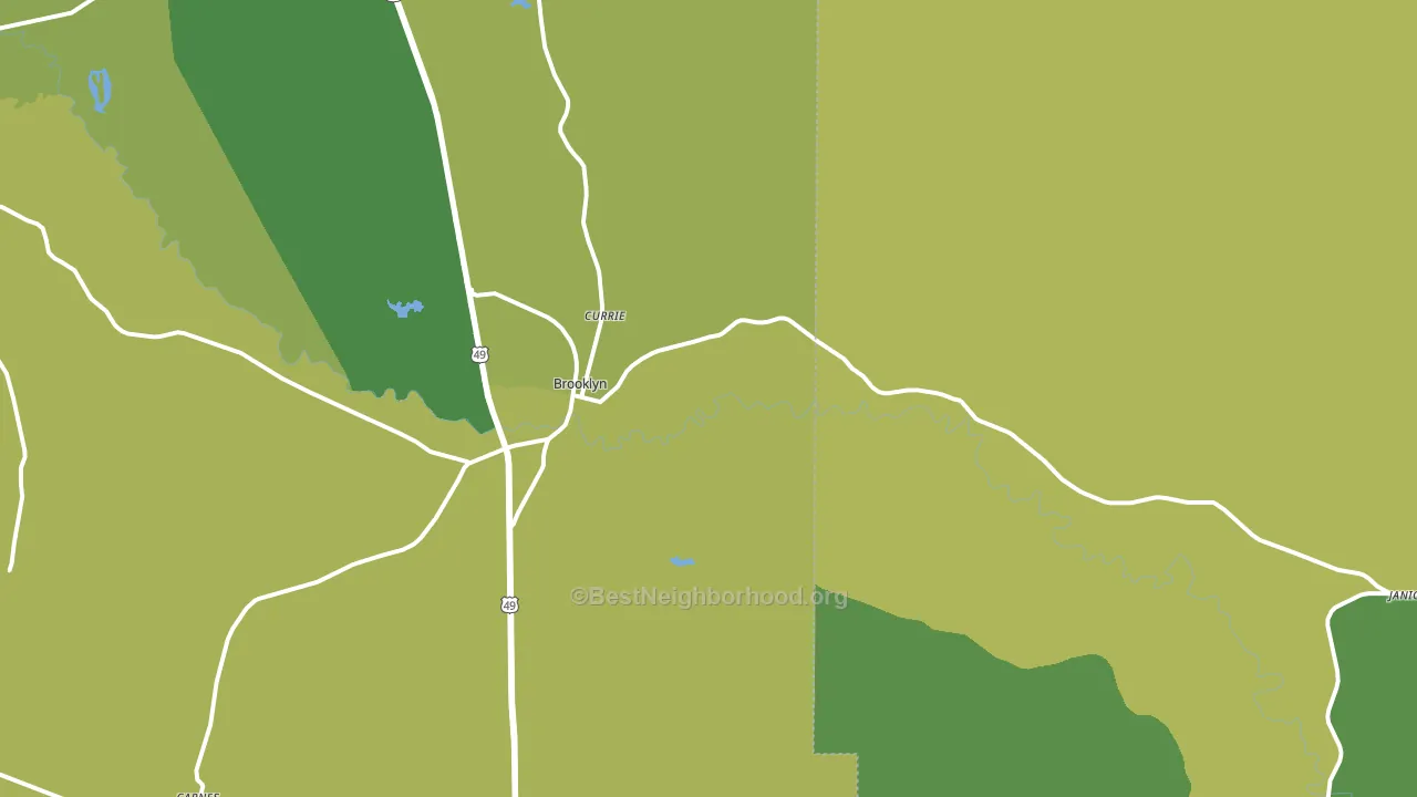 Brooklyn, MS block-group voter-turnout map