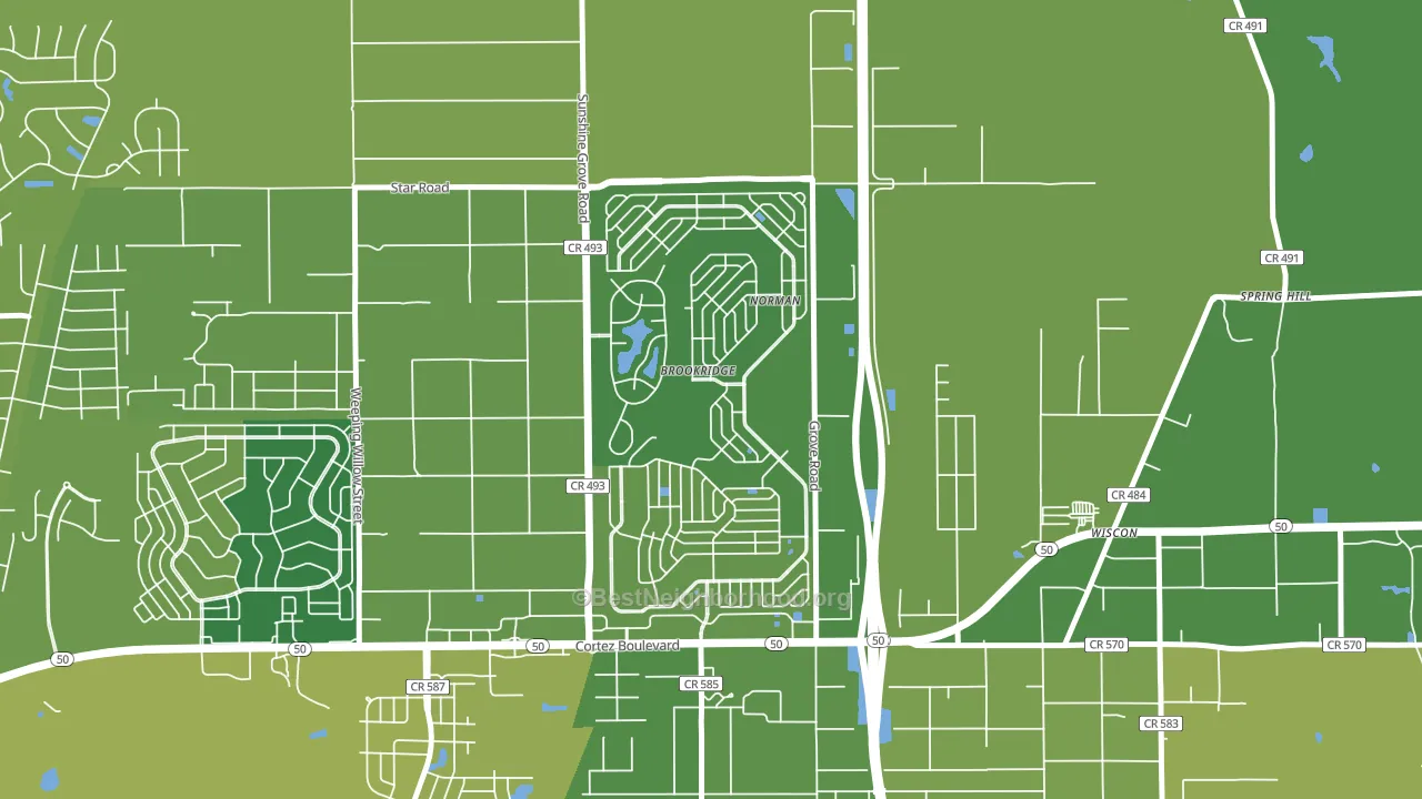 Brookridge, FL block-group voter-turnout map