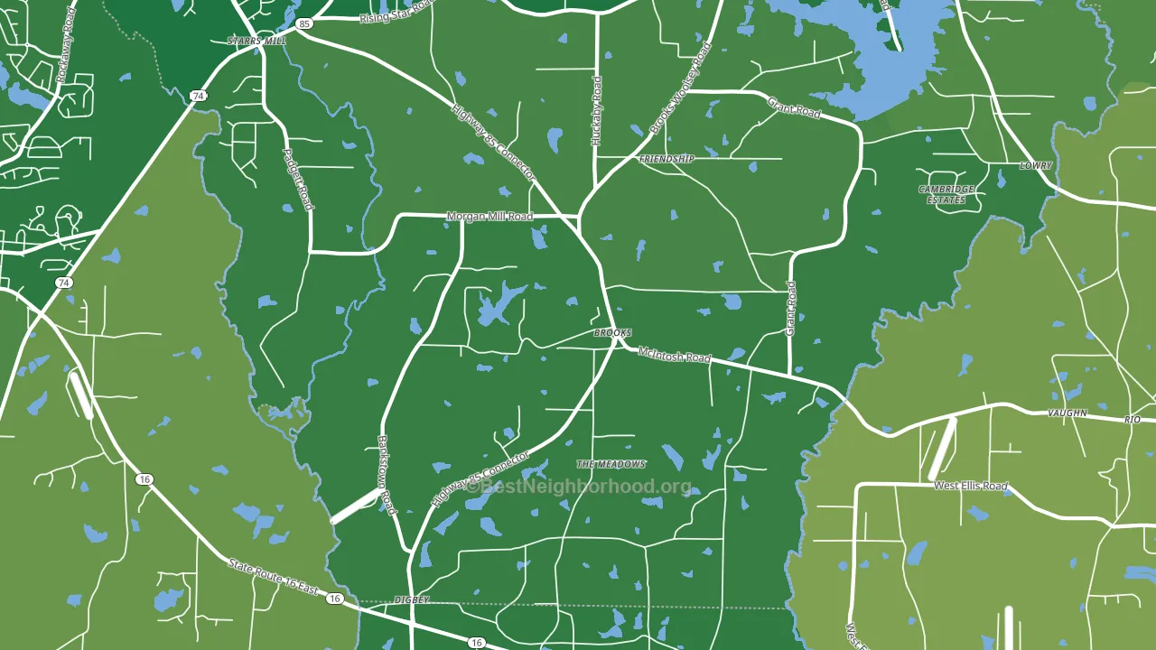 Brooks, GA block-group voter-turnout map