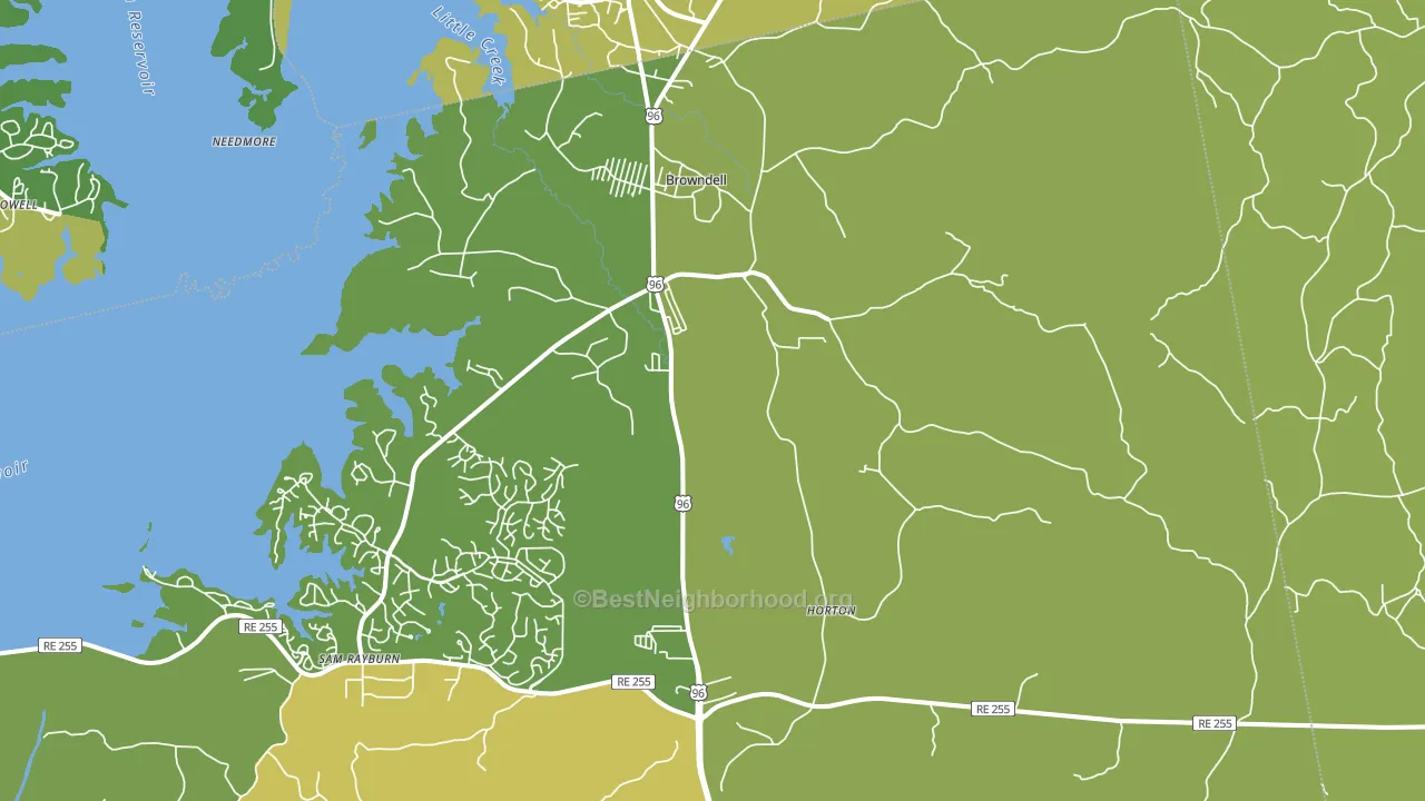 Browndell, TX block-group voter-turnout map
