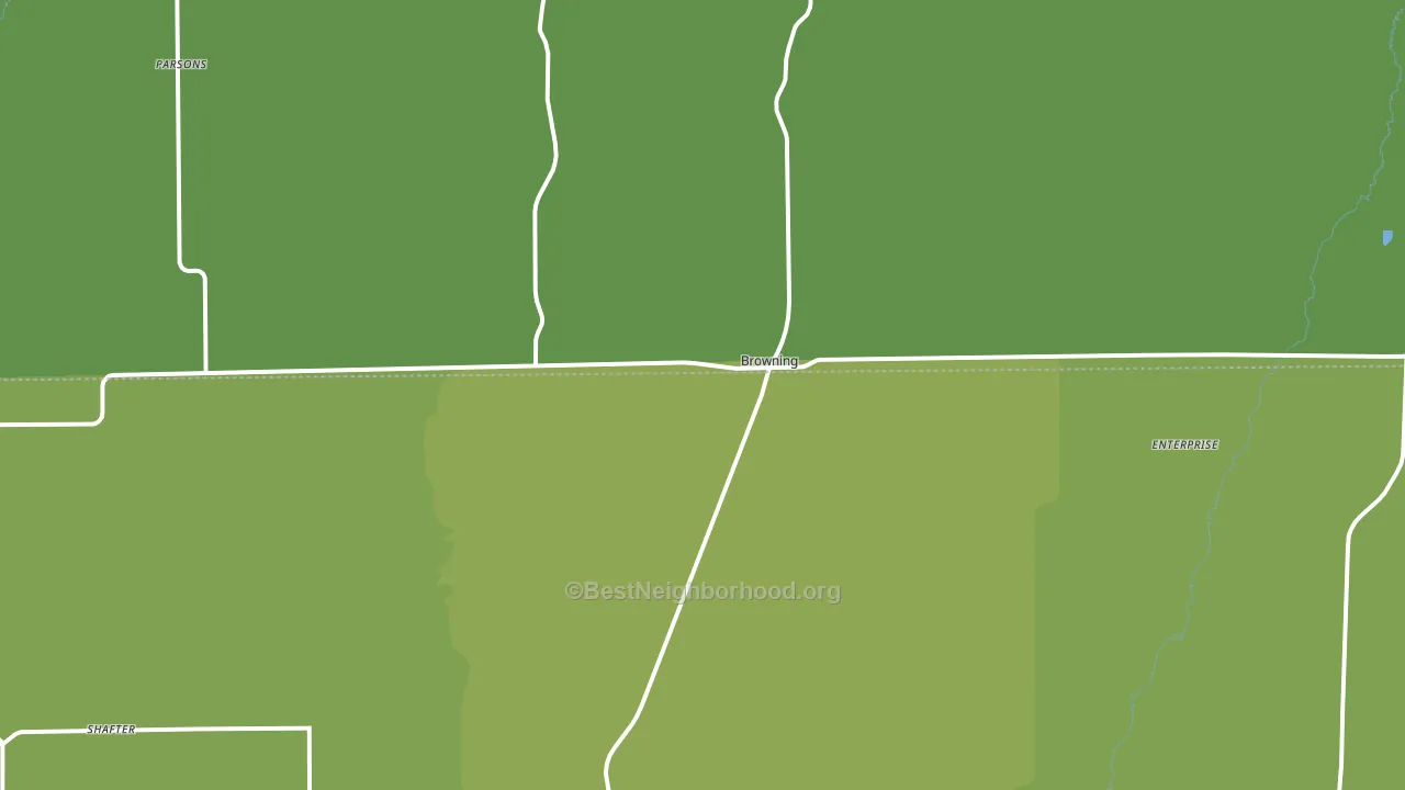 Browning, MO block-group voter-turnout map