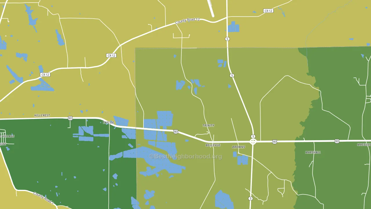 Browns, AL block-group voter-turnout map
