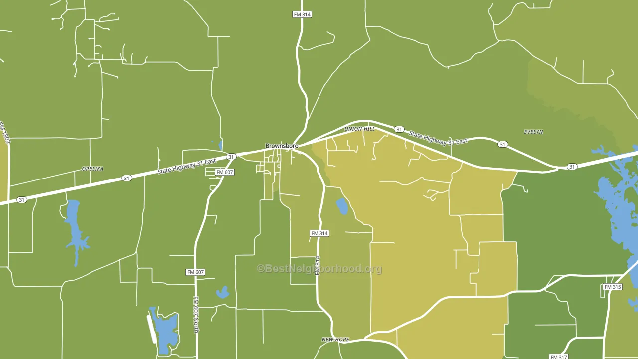 Brownsboro, TX block-group voter-turnout map