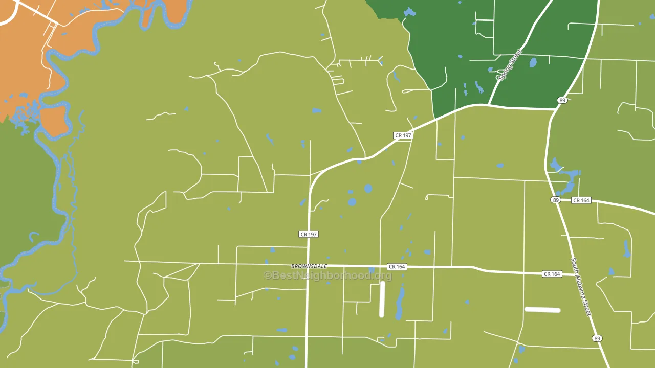 Brownsdale, FL block-group voter-turnout map