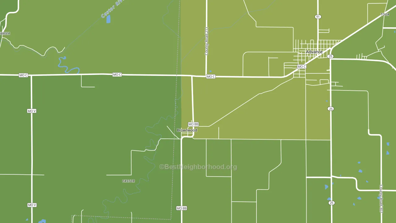 Brownwood, MO block-group voter-turnout map