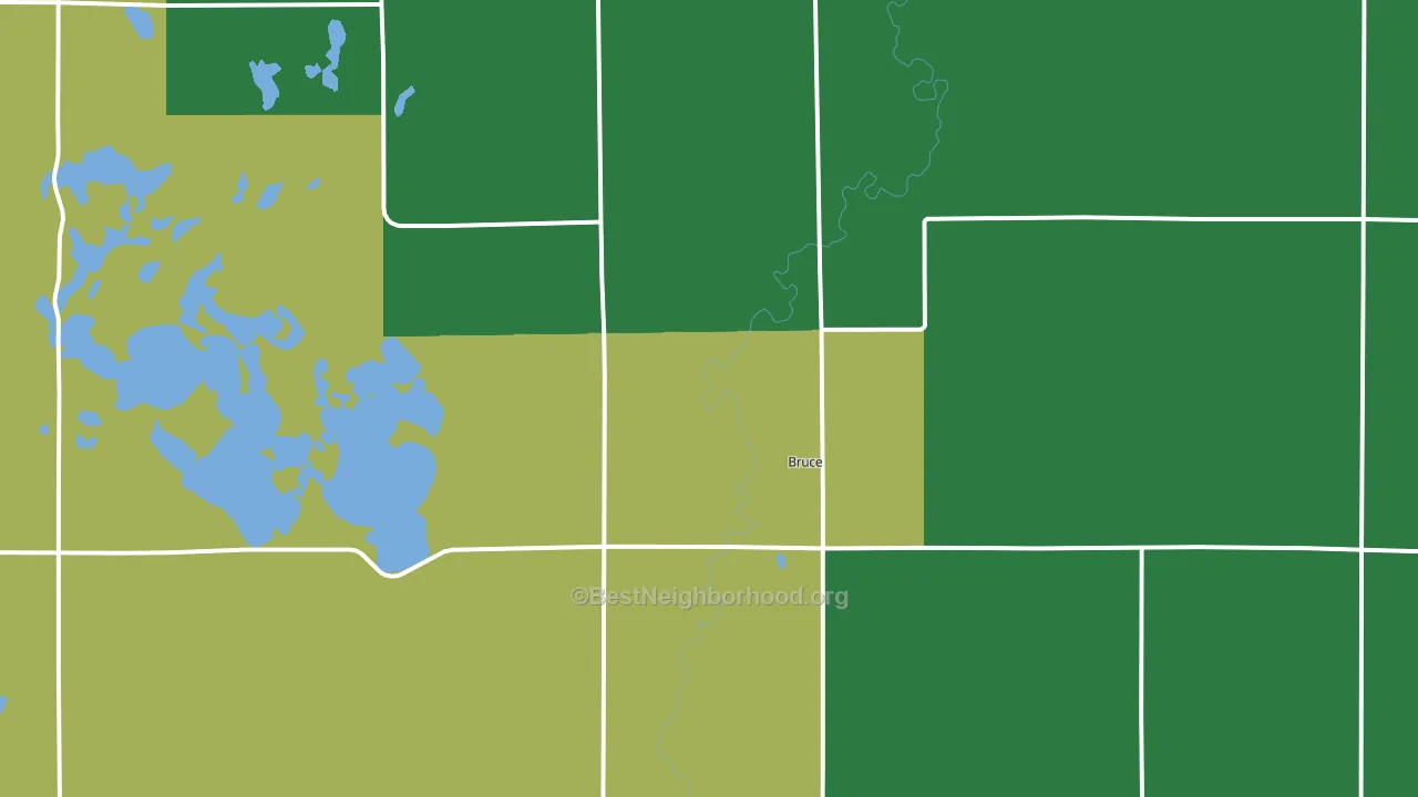 Bruce, SD block-group voter-turnout map