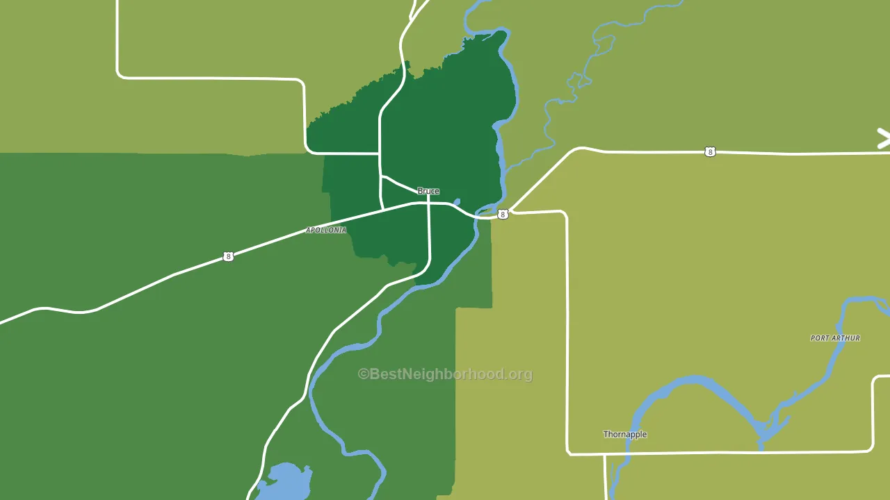 Bruce, WI block-group voter-turnout map