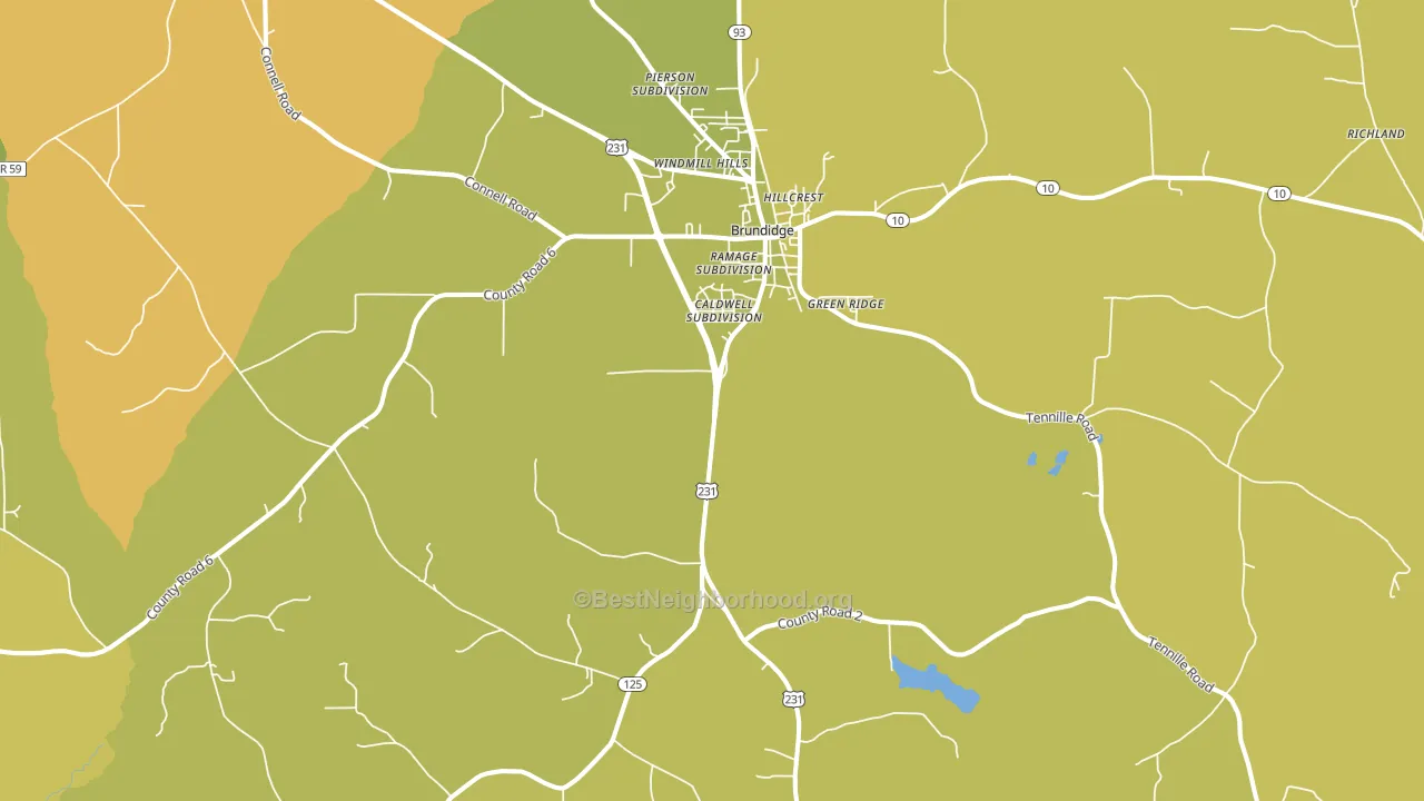 Brundidge, AL block-group voter-turnout map