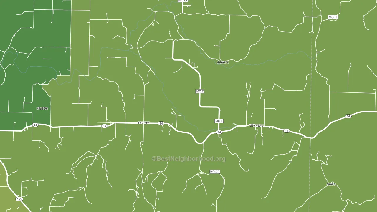 Bruner, MO block-group voter-turnout map