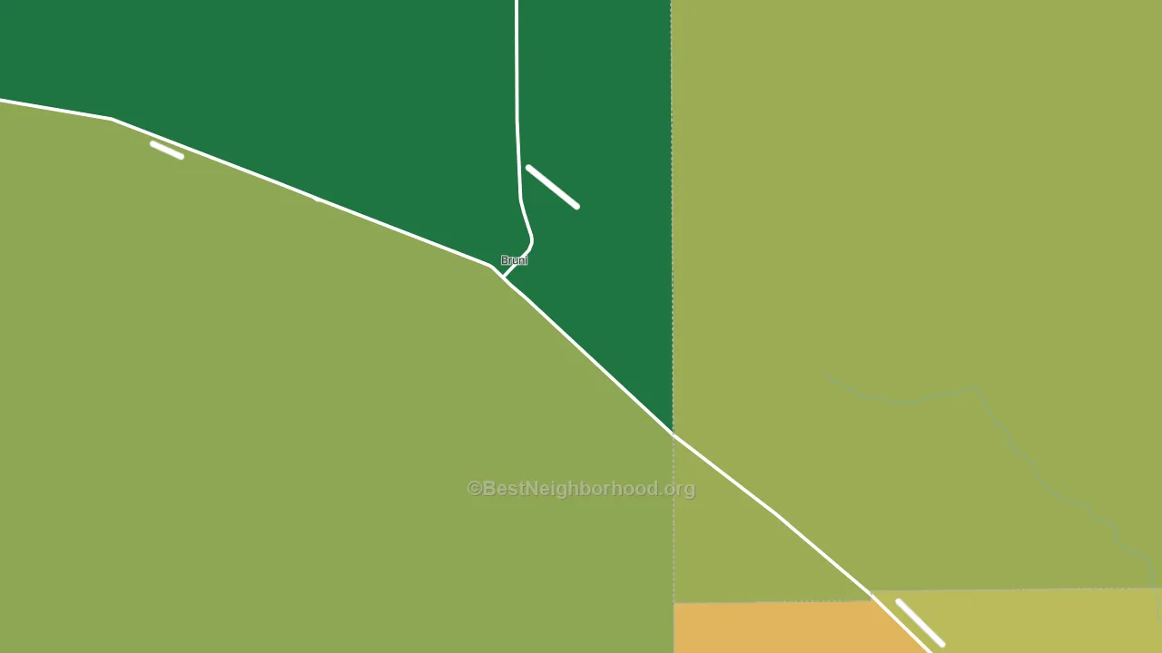 Bruni, TX block-group voter-turnout map