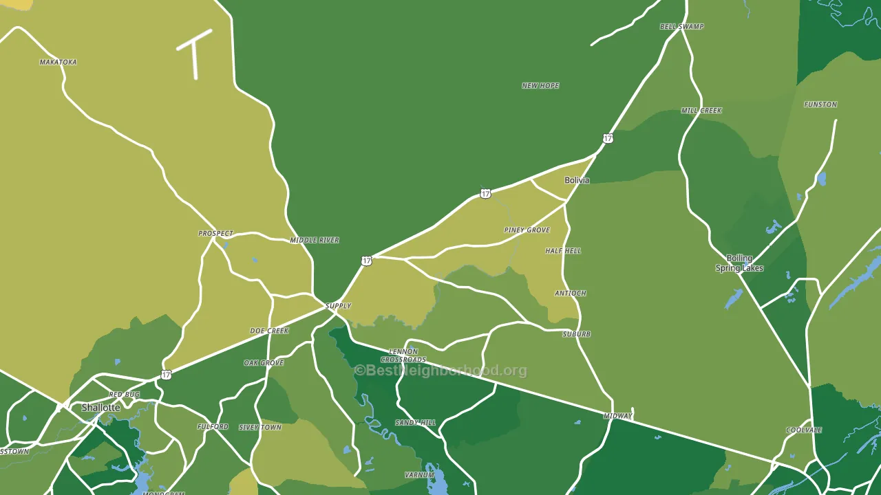 Brunswick County, NC block-group voter-turnout map