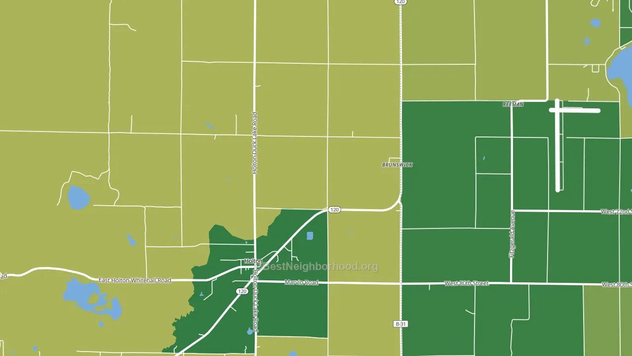 Brunswick, MI block-group voter-turnout map