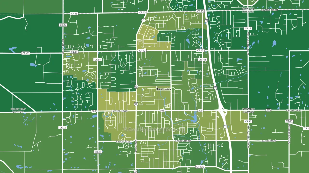 Brunswick, OH block-group voter-turnout map