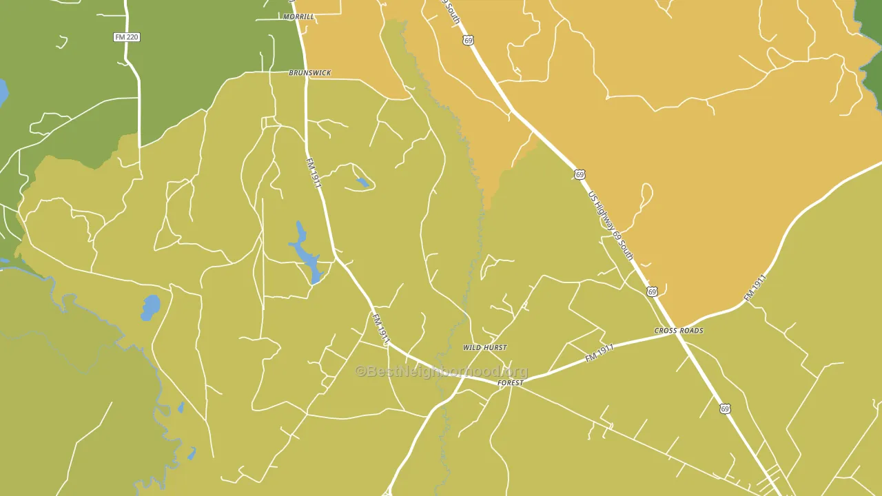 Brunswick, TX block-group voter-turnout map