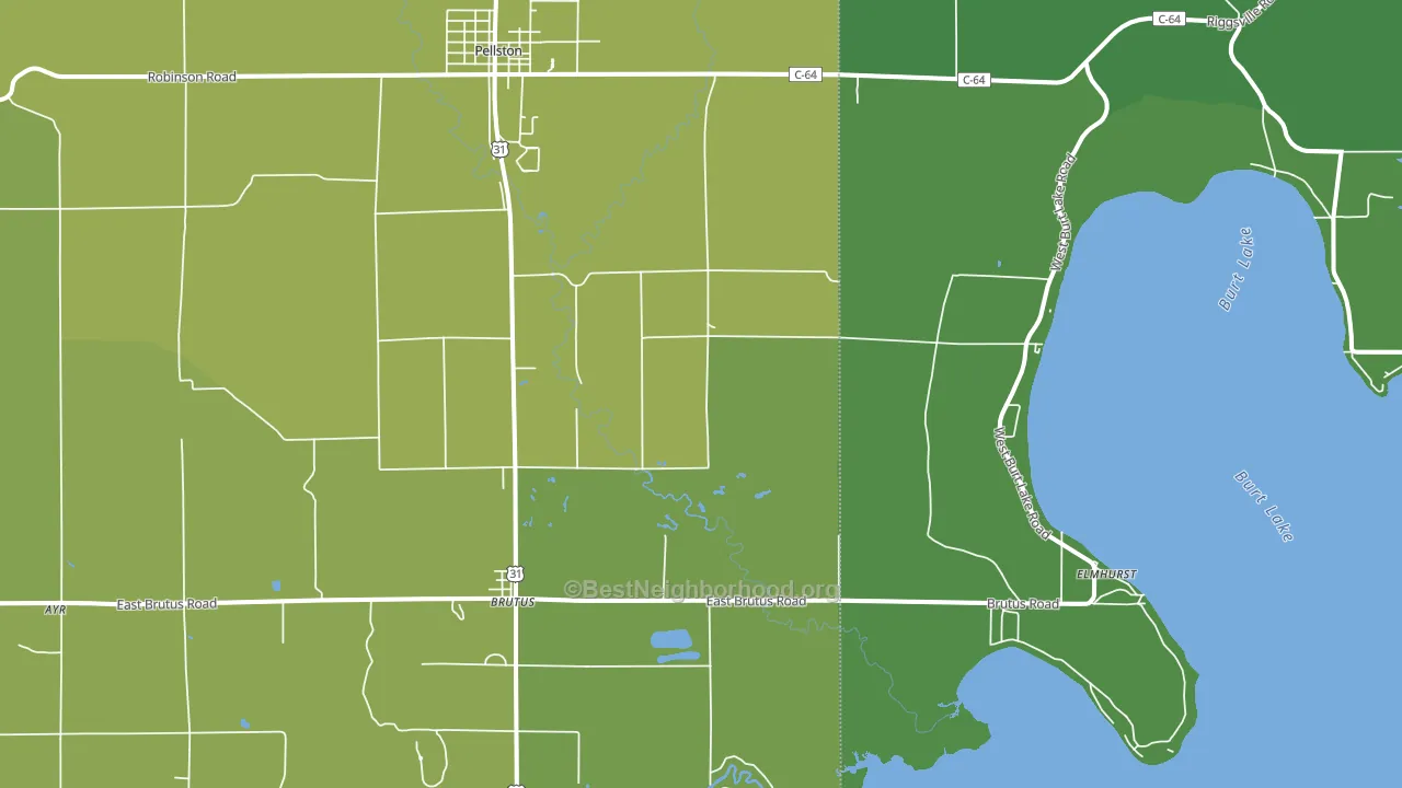 Brutus, MI block-group voter-turnout map