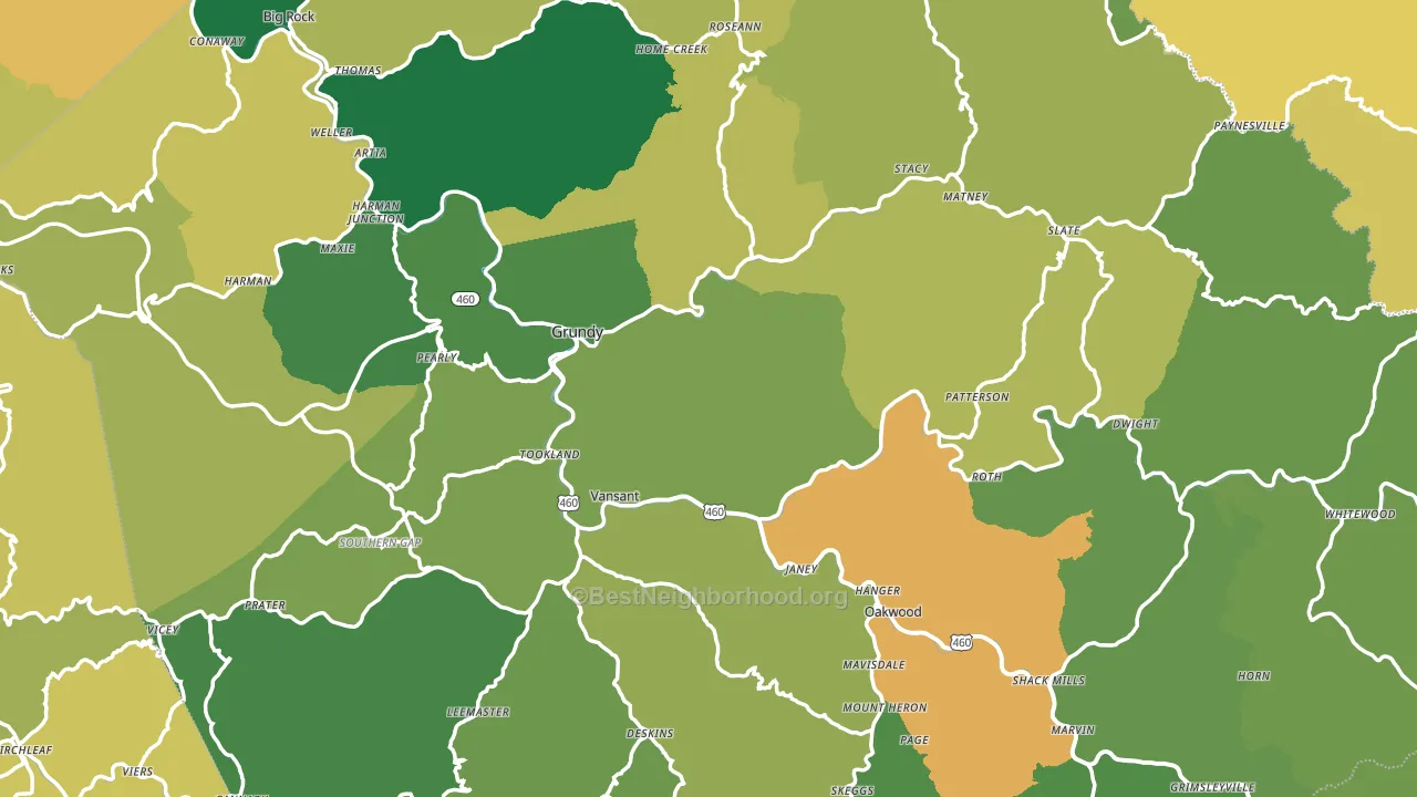 Buchanan County, VA block-group voter-turnout map