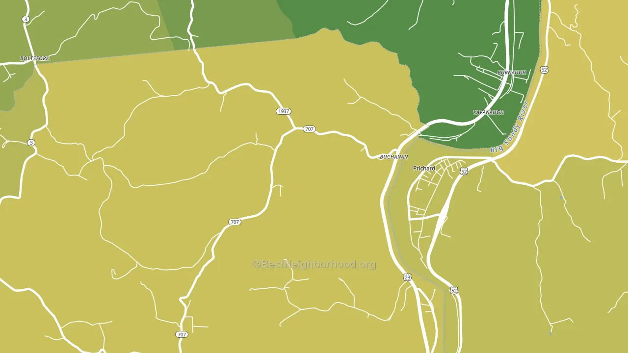 Buchanan, KY block-group voter-turnout map