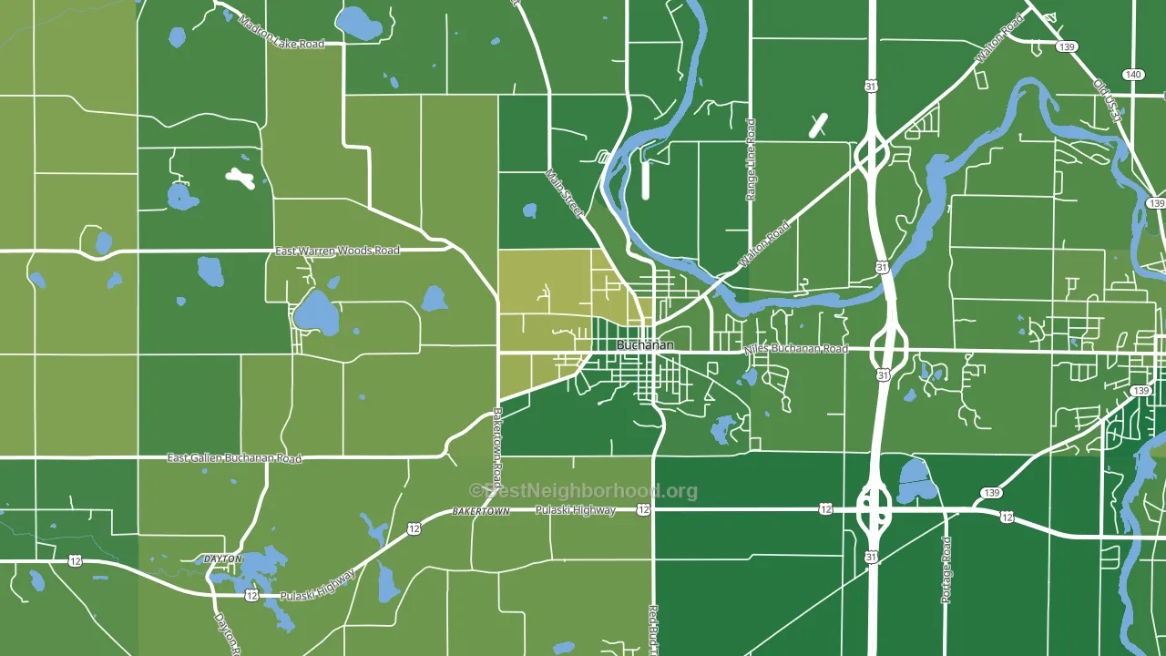 Buchanan, MI block-group voter-turnout map