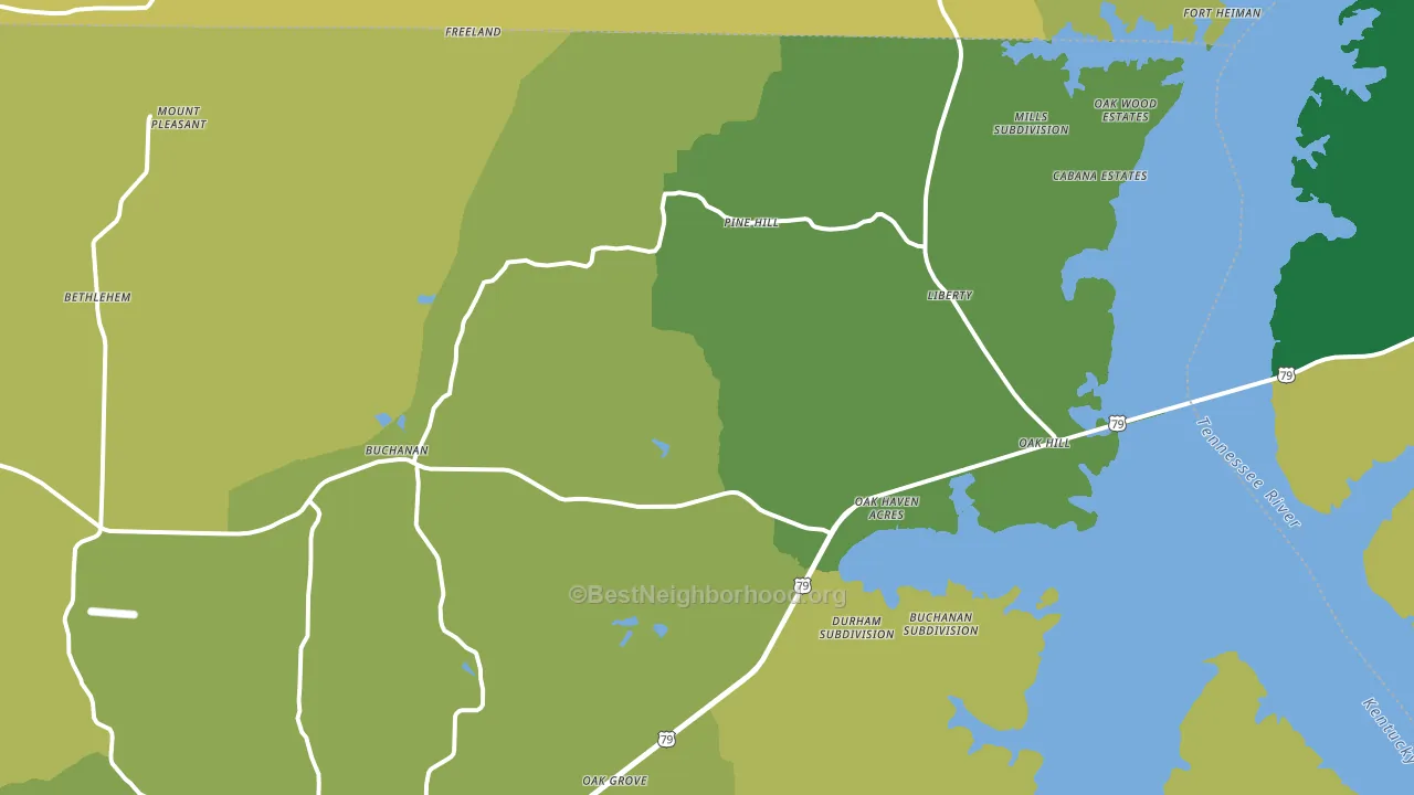 Buchanan, TN block-group voter-turnout map