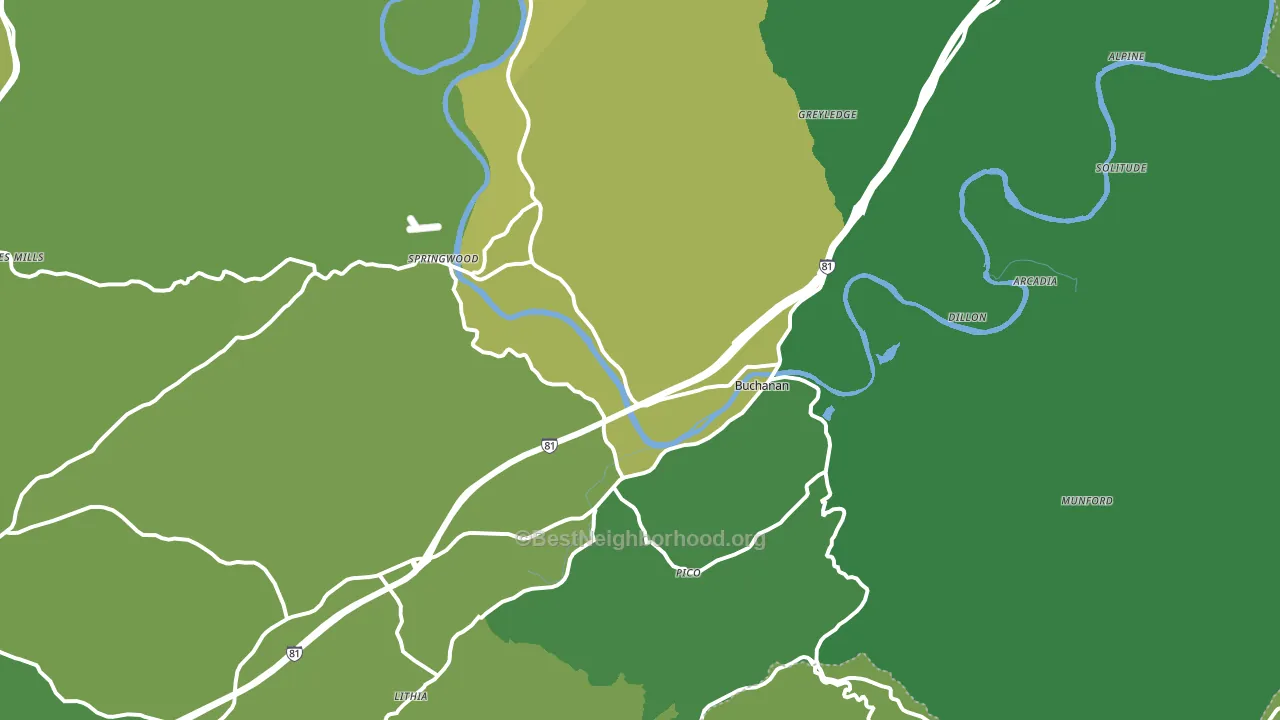 Buchanan, VA block-group voter-turnout map