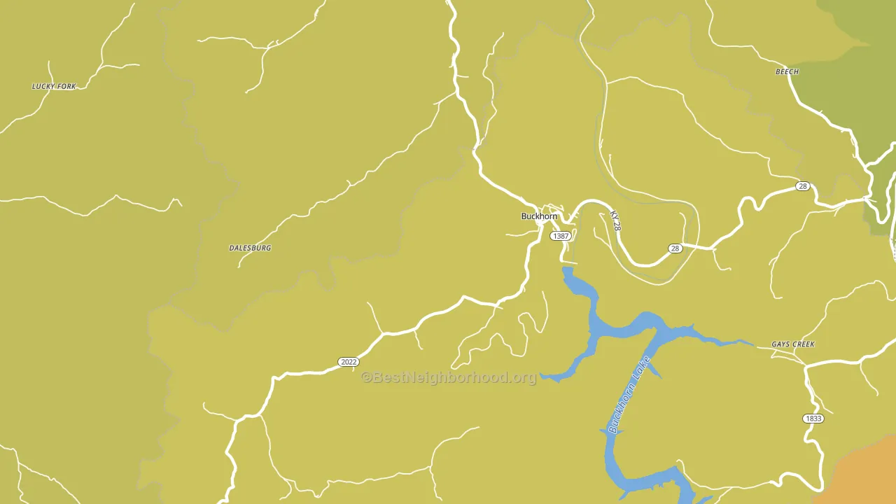 Buckhorn, KY block-group voter-turnout map