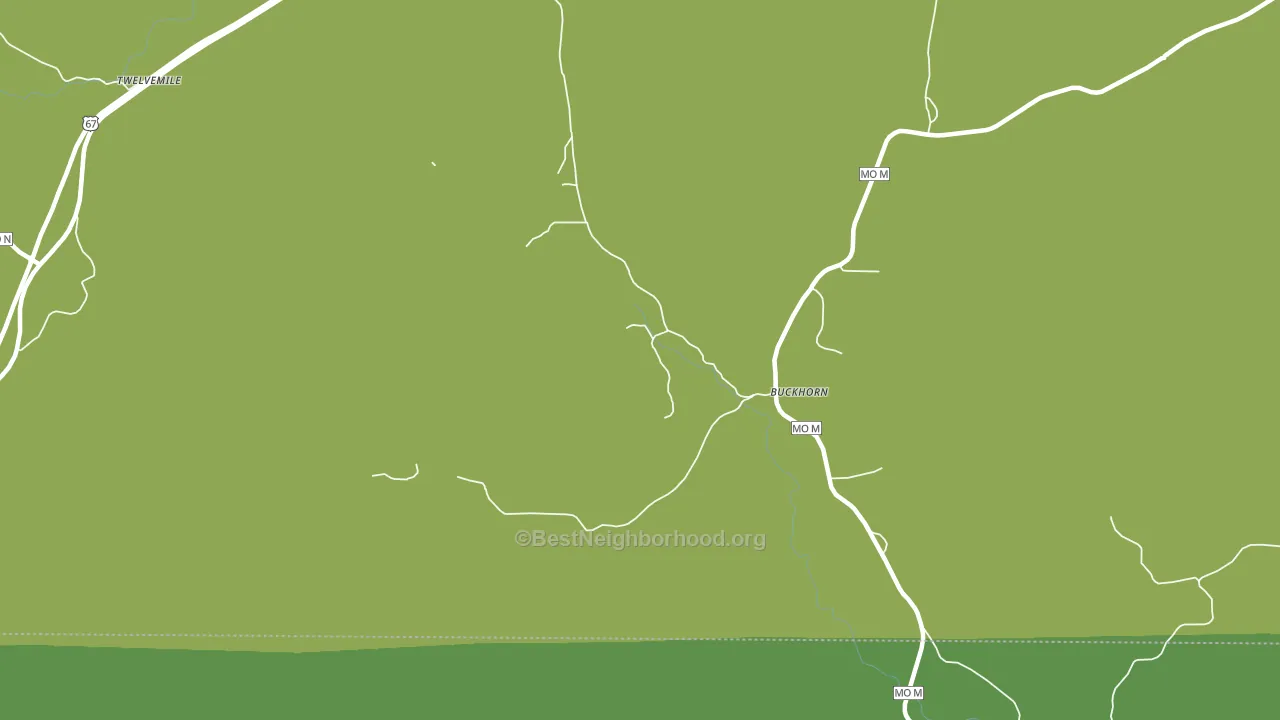 Buckhorn, MO block-group voter-turnout map