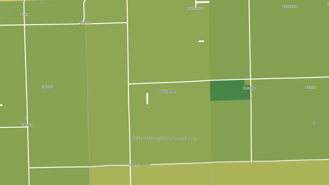 Buckingham, IL block-group voter-turnout map