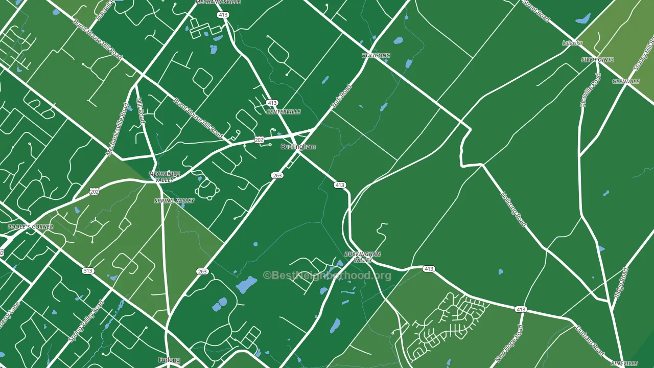 Buckingham, PA block-group voter-turnout map
