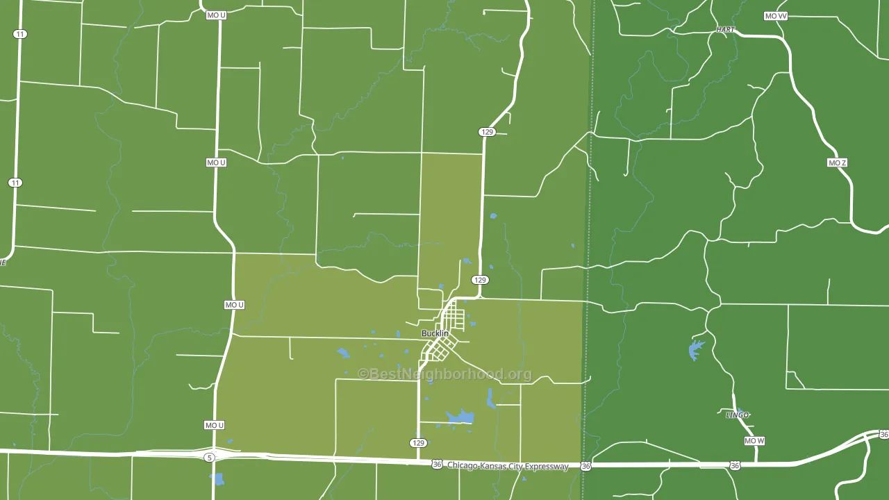 Bucklin, MO block-group voter-turnout map