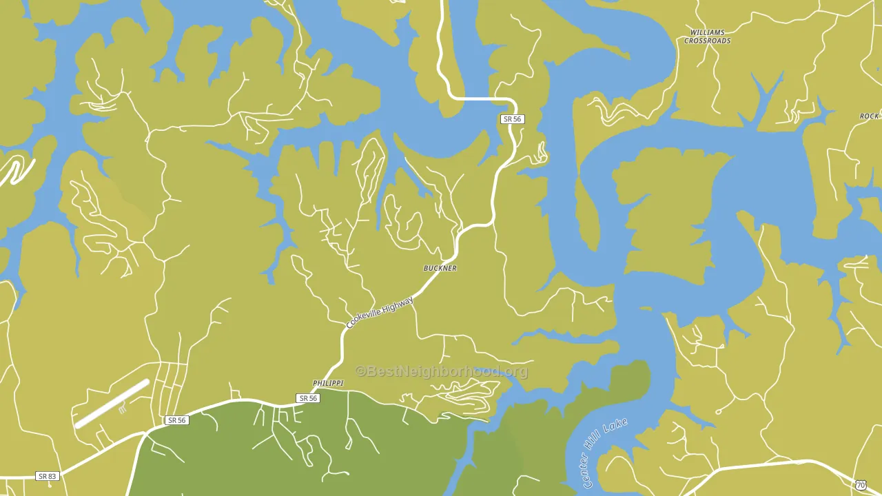 Buckner, TN block-group voter-turnout map