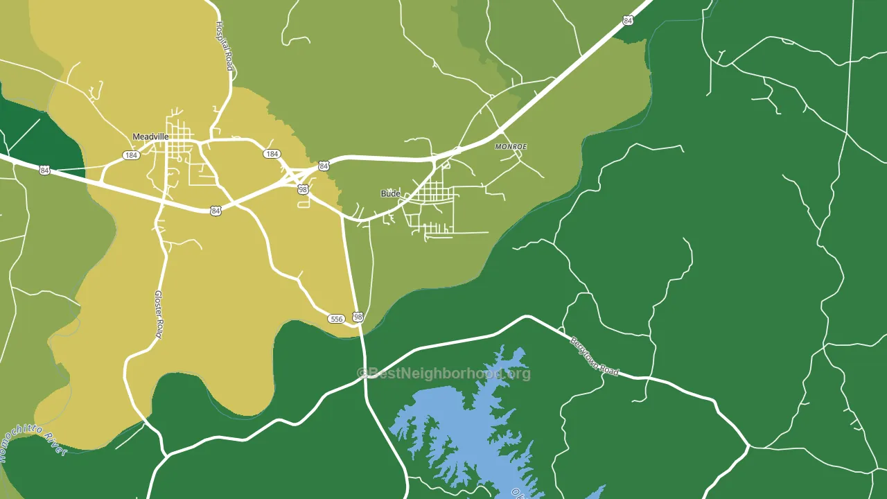 Bude, MS block-group voter-turnout map