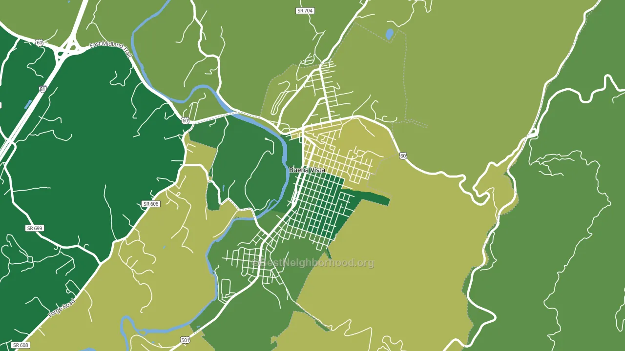 Buena Vista City, VA block-group voter-turnout map