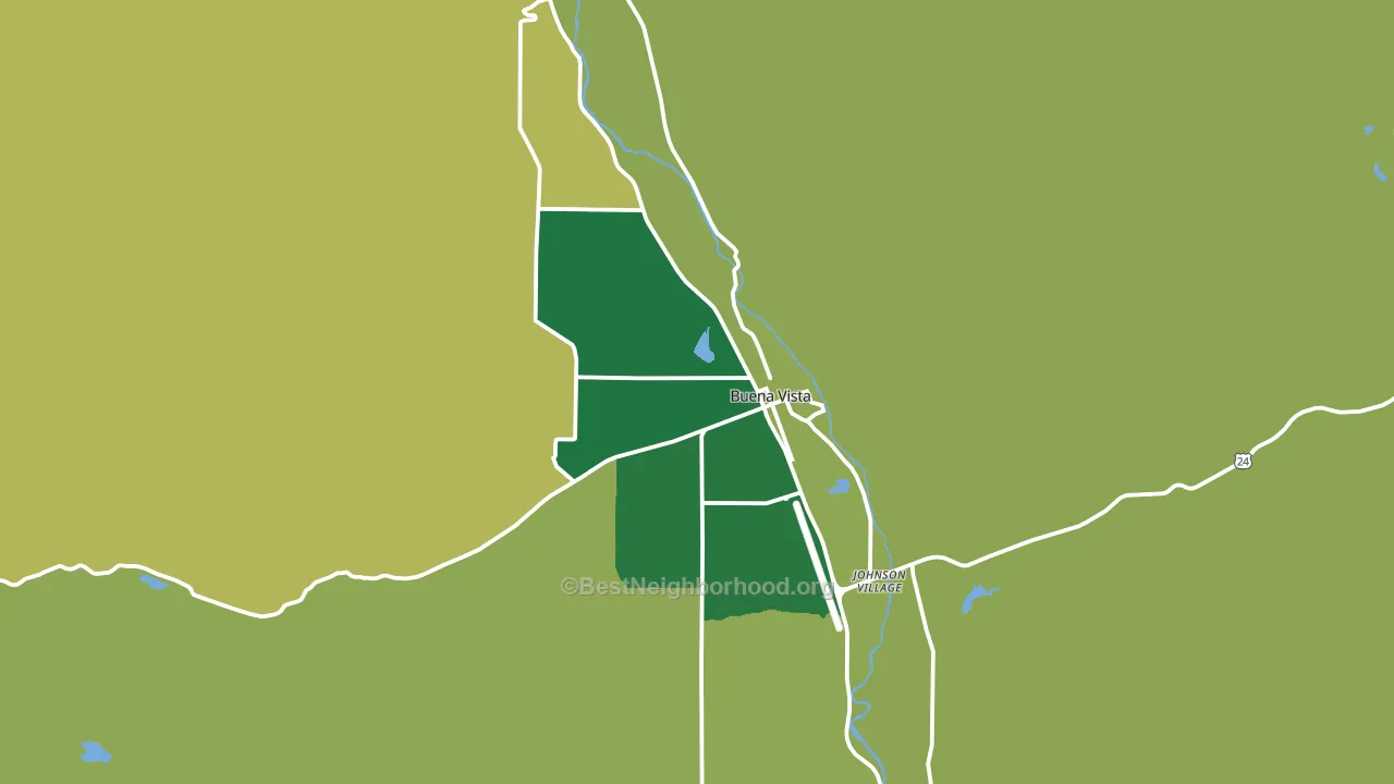 Buena Vista, CO block-group voter-turnout map